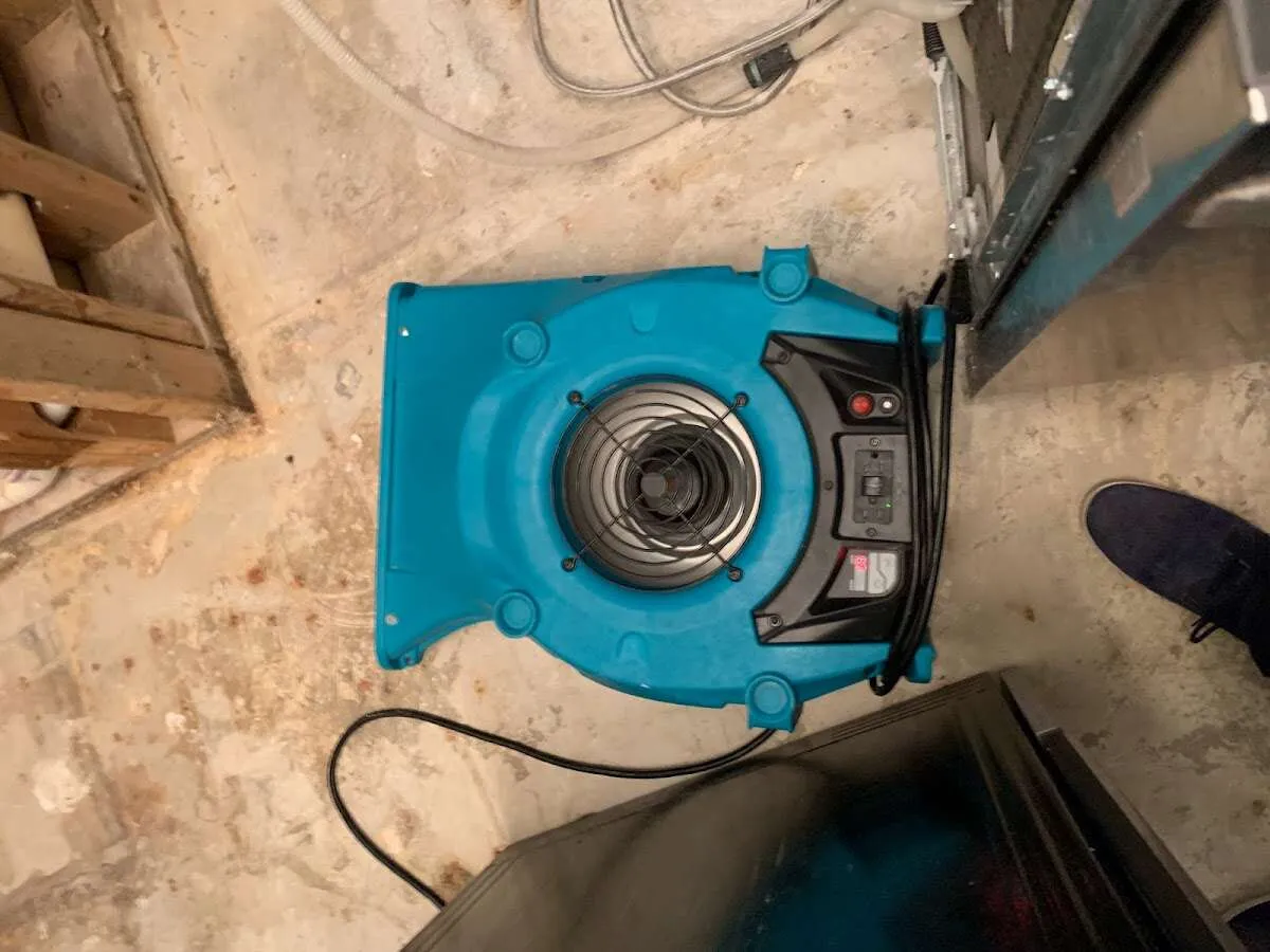 Air mover drying equipment for Mold Remediation & Removal in Englewood Cliffs